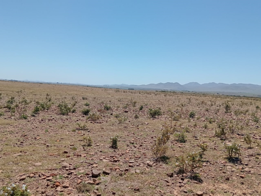 Commercial Property for Sale in Humansdorp Rural Eastern Cape